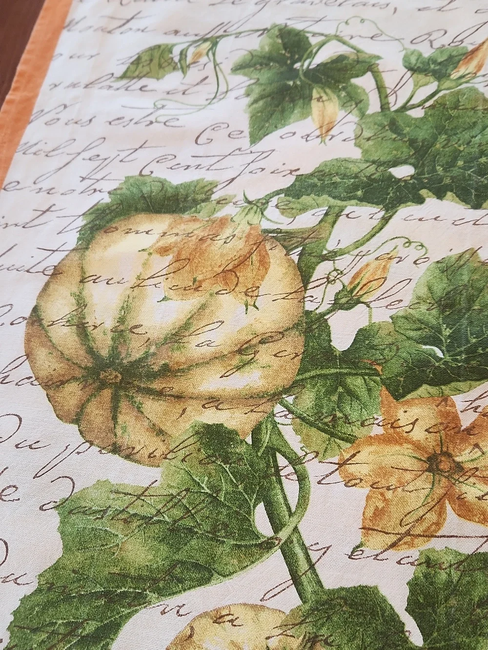 Williams Sonoma Botanical Pumpkin Print Tea Towels. Set Of 2